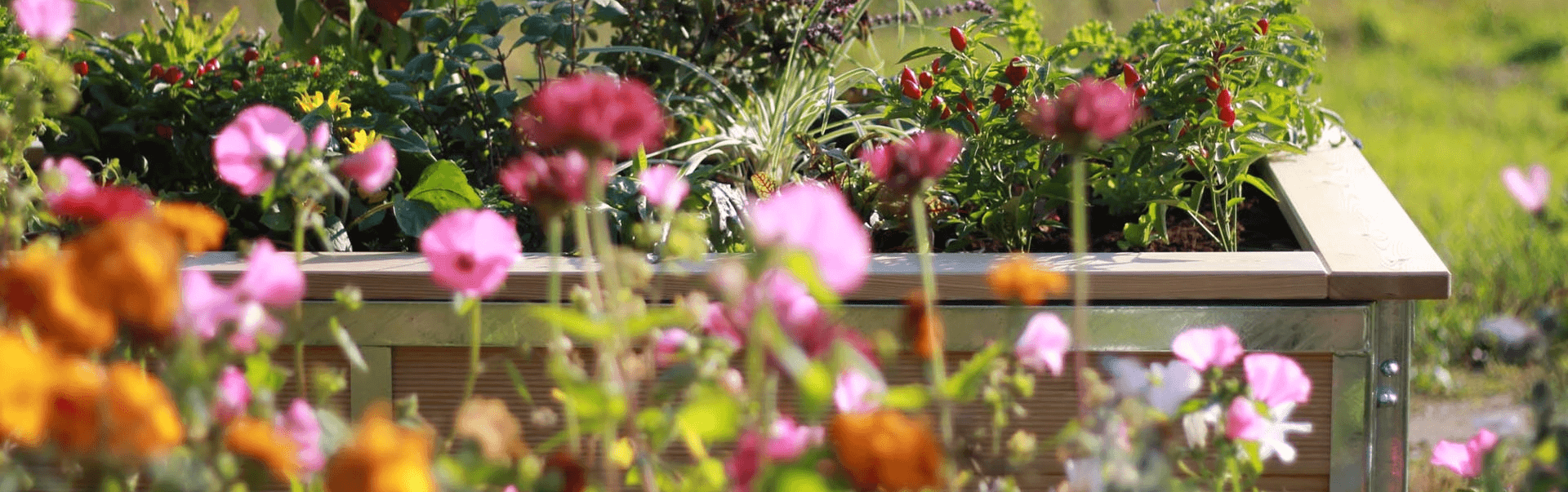 Garten Hochbeet aus Lärchenholz Gartenhochbeet als Bausatz