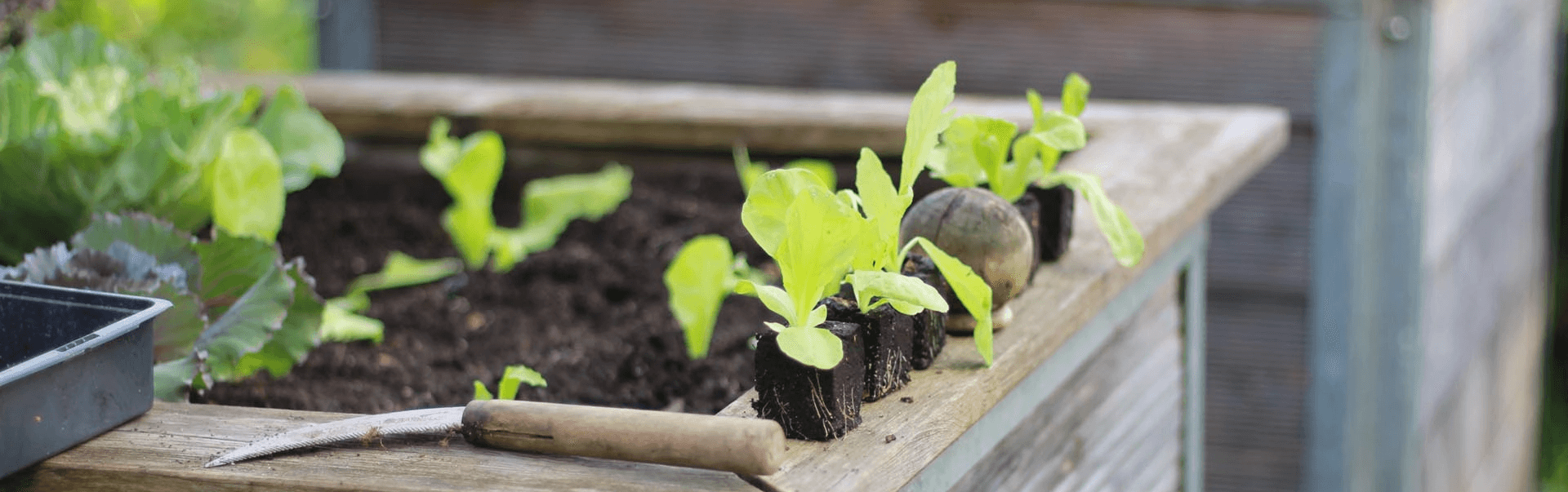 Hochbeet mit umlaufender Ablage Hochbeet mit umlaufender Ablage