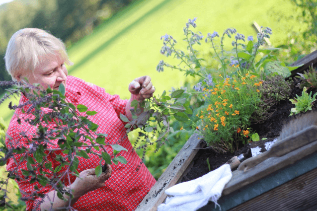 Gartenhochbeet als Bausatz Gartenhochbeet als Bausatz