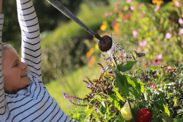 Kinder Hochbeet als Bausatz Kinder Hochbeet als Bausatz