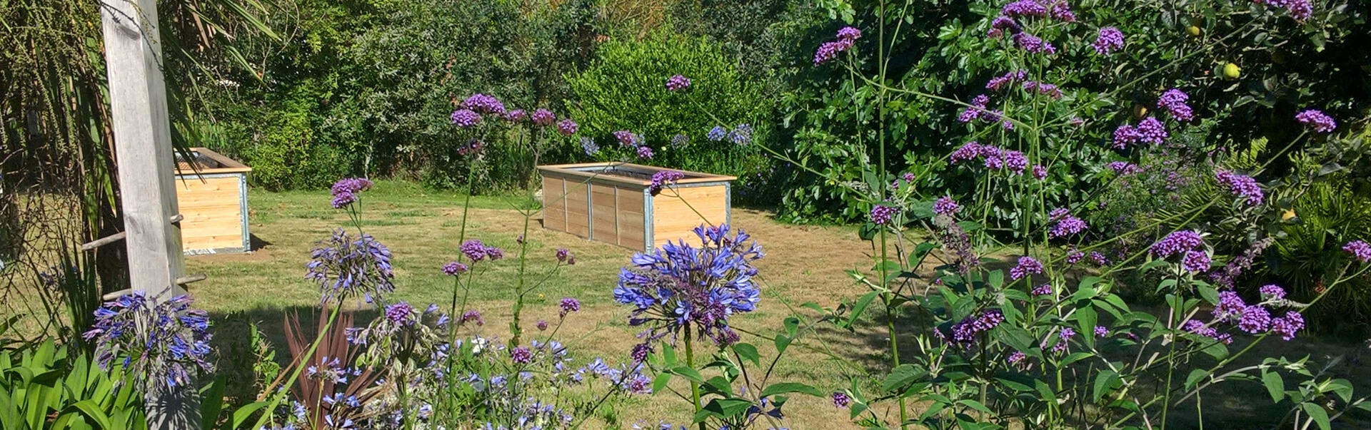 Die Hochbeete aus Lärchenholz sind Blickfang und Schmuckstück zugleich zwei lange hochbeete stehen im garten vor feigenbaum