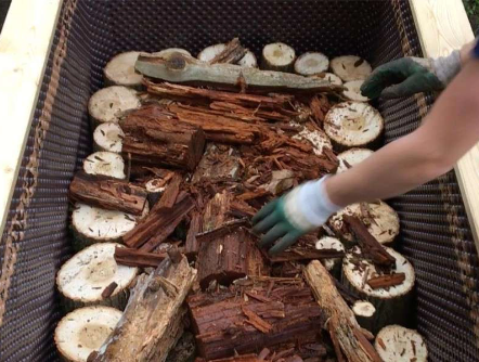 Hochbeet Bausatz Befüllung