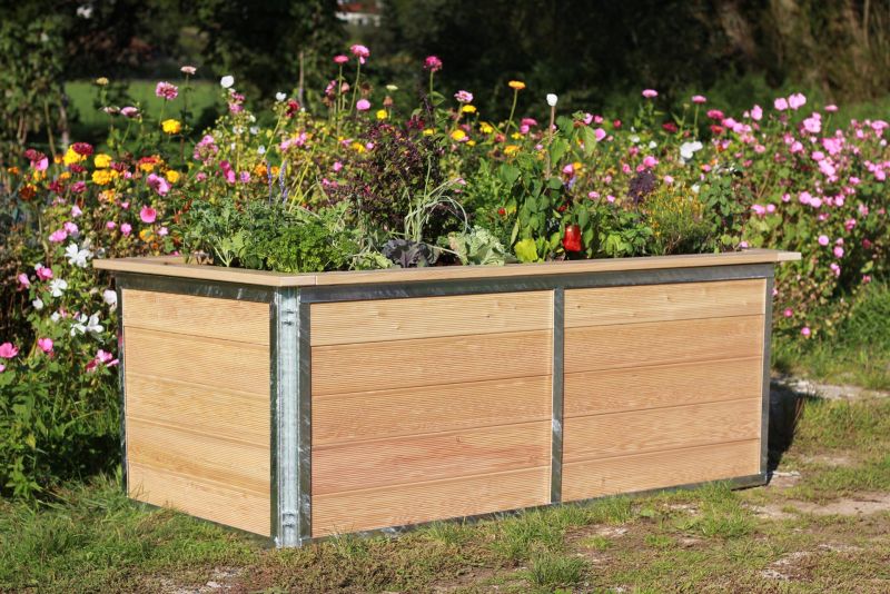 Garten Hochbeet richtig bepflanzen Gärtnern im Quadrat